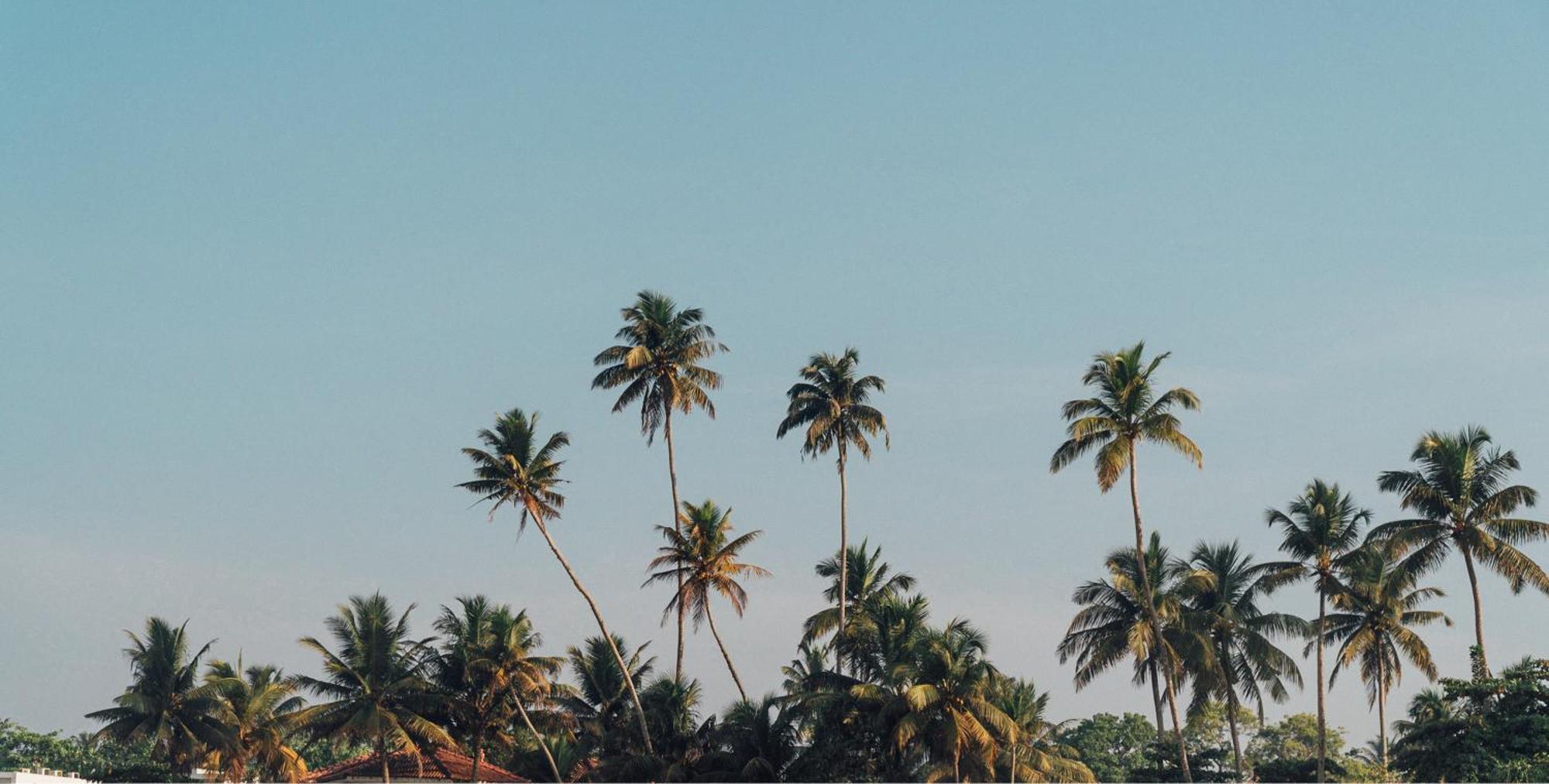 Lucky'S Surf Camp Bed and Breakfast Weligama Exteriör bild