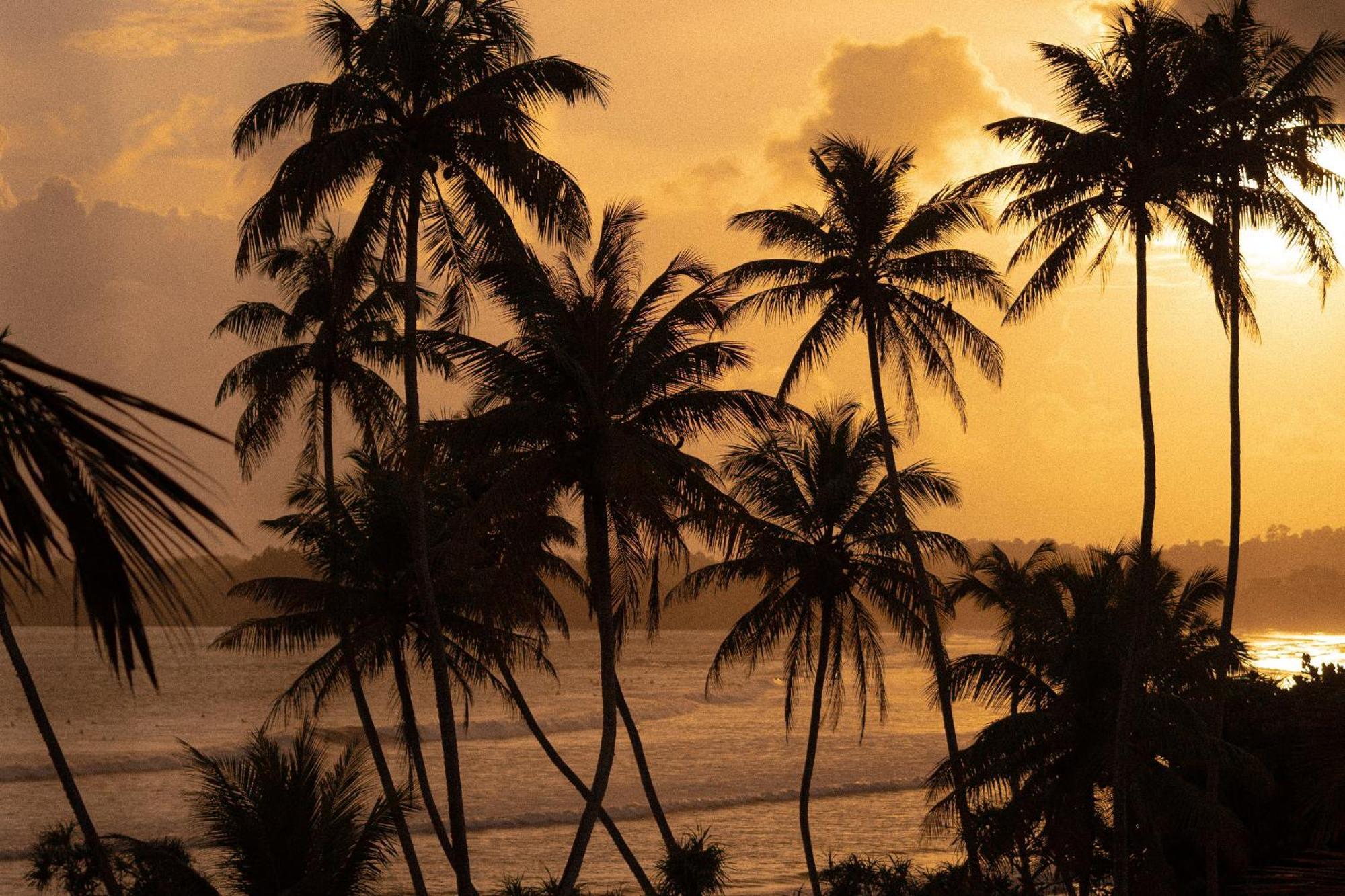 Lucky'S Surf Camp Bed and Breakfast Weligama Exteriör bild