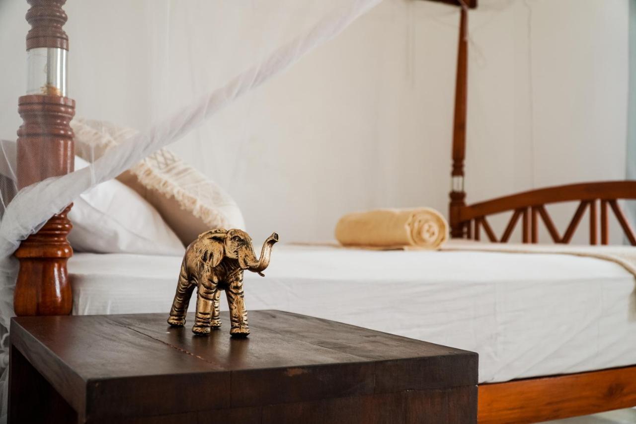 Lucky'S Surf Camp Bed and Breakfast Weligama Exteriör bild